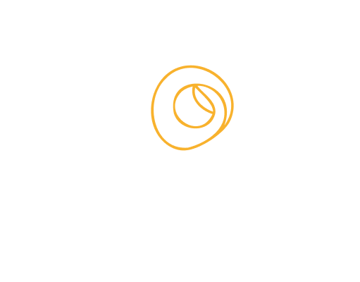 Vision Translation